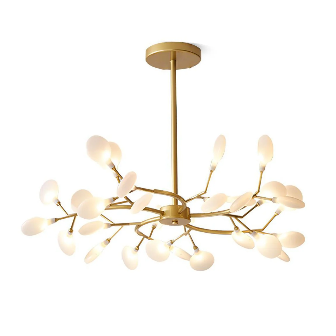 Product image 71